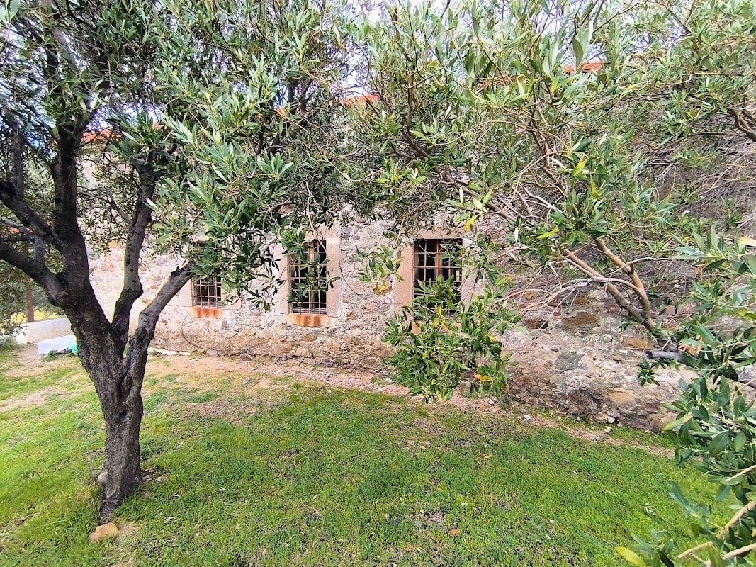 Αγία Άννα