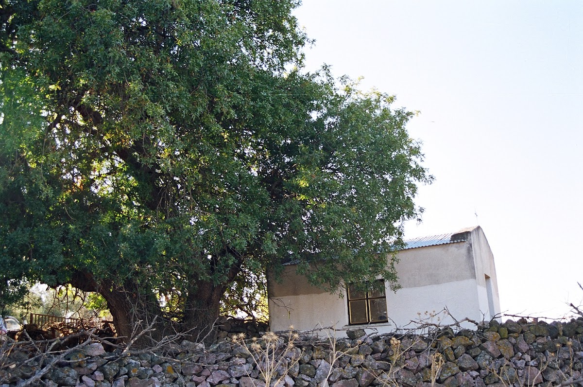 Agia Foteini