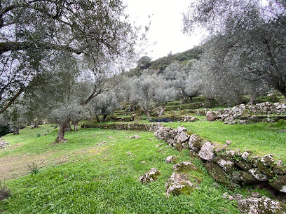 Agia Marina