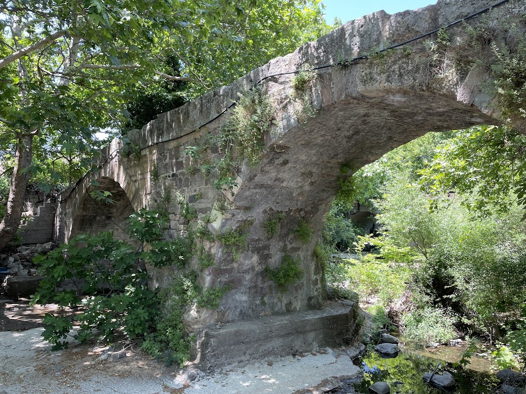 Ancient Bridge Parakila
