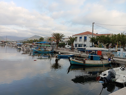 Angel's Houses