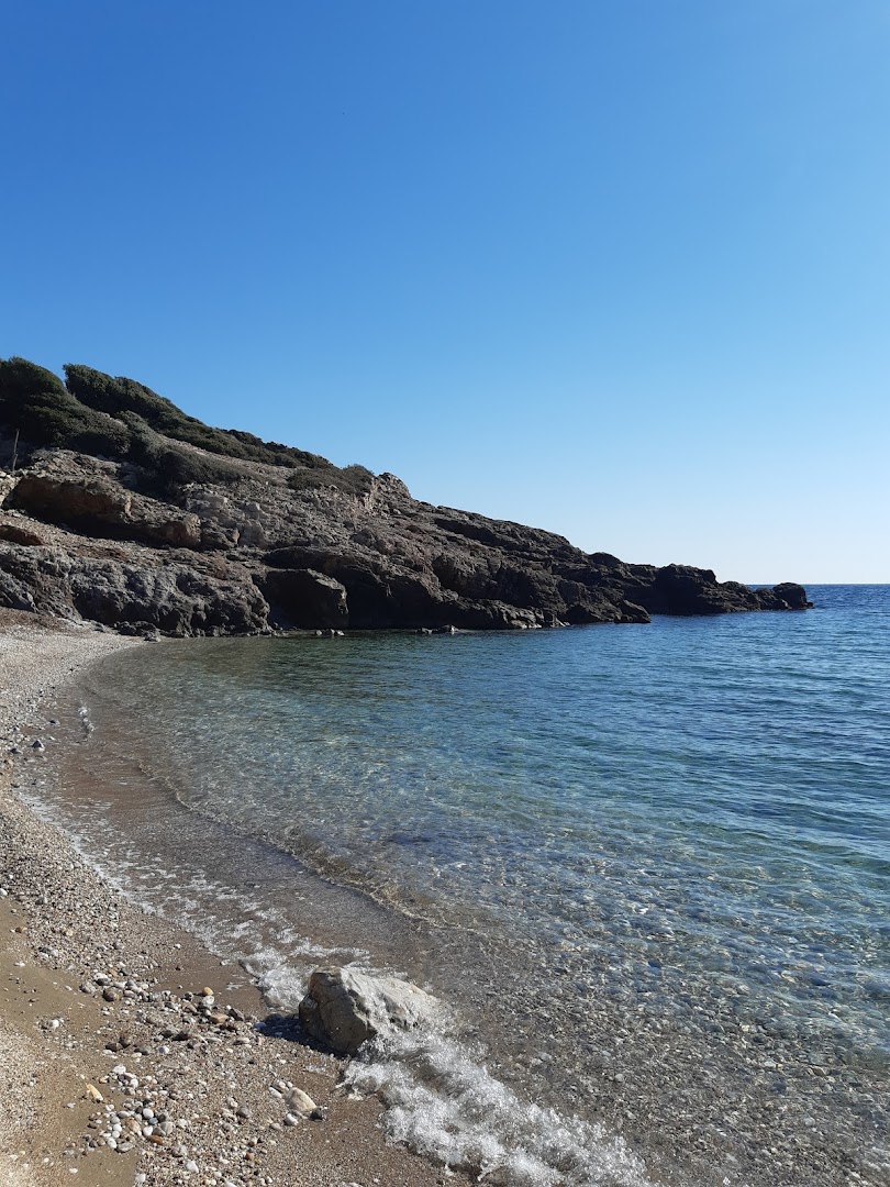 Avlaki