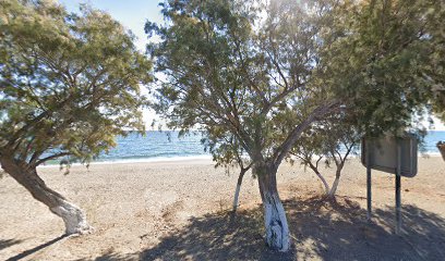 Bus Stop, Vatera