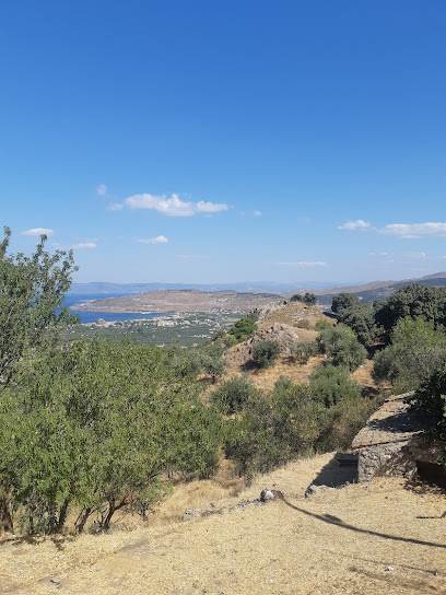 ΕΞΟΧΙΚΟ