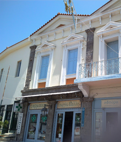 Efstratios and Georgios Pallis