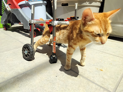 Ktiniatreio Tourvali-Vet Clinic Tourvali