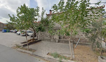 Ktiniatrika Farmaka, Nikolaos Panas