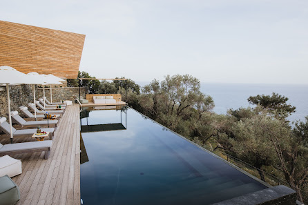 Five Olive Dream Trip