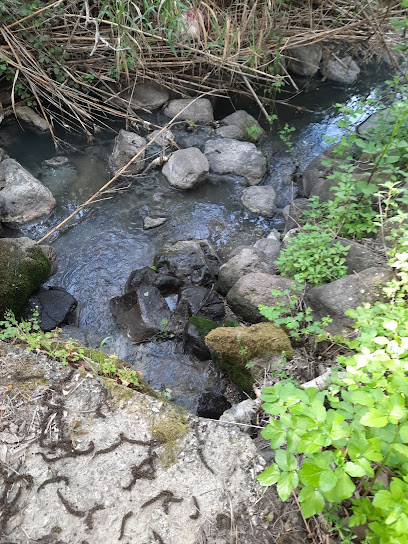 Langadas Spring