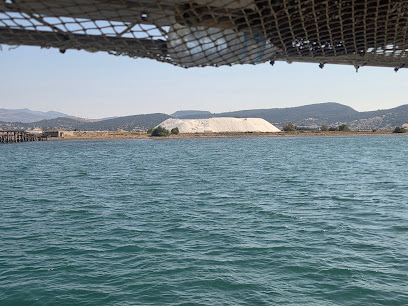 Lesvos Fisching Tourism