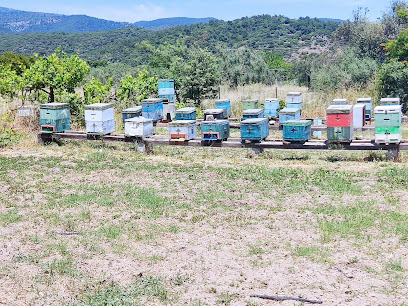 Local Honey Pavlidis