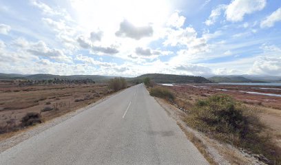 MESA Wetlands