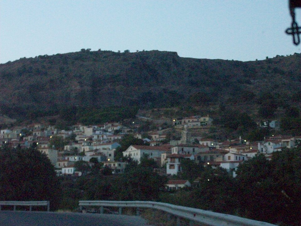 Gallery image 5
