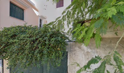 Συλλογος θεραπευτικής ιππασιας Λέσβου