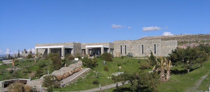 Natural History Museum of the Lesvos Petrified Forest