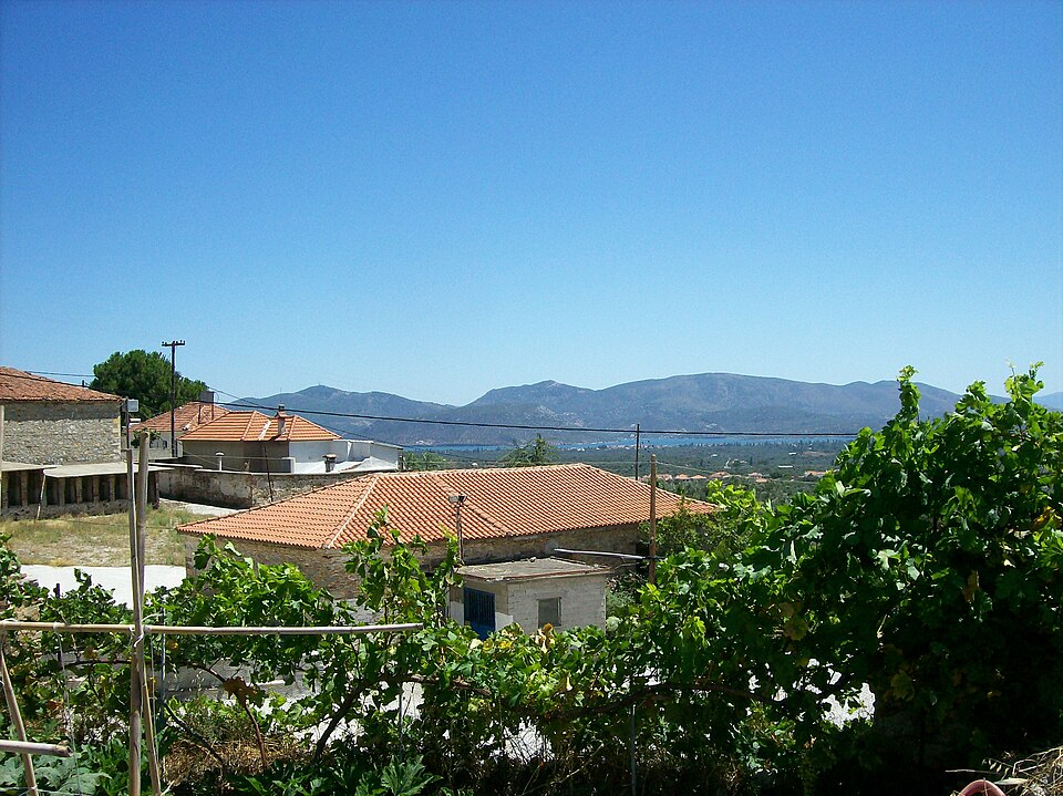 Gallery image 6