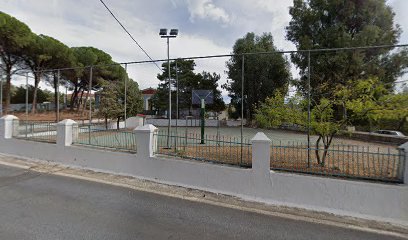 Γήπεδο Δημοτικού Σχολείου Παλαιοκήπου