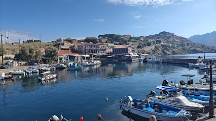 Panagia Gorgona Boat Trips