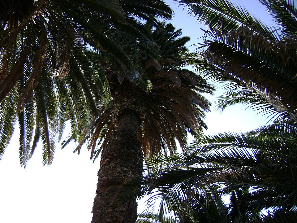Gallery image 9
