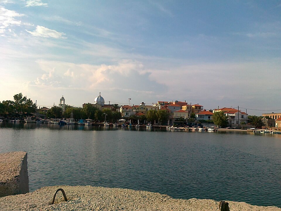 Gallery image 5