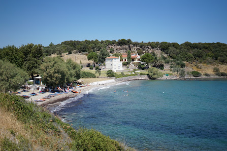 Paralia Petalidi