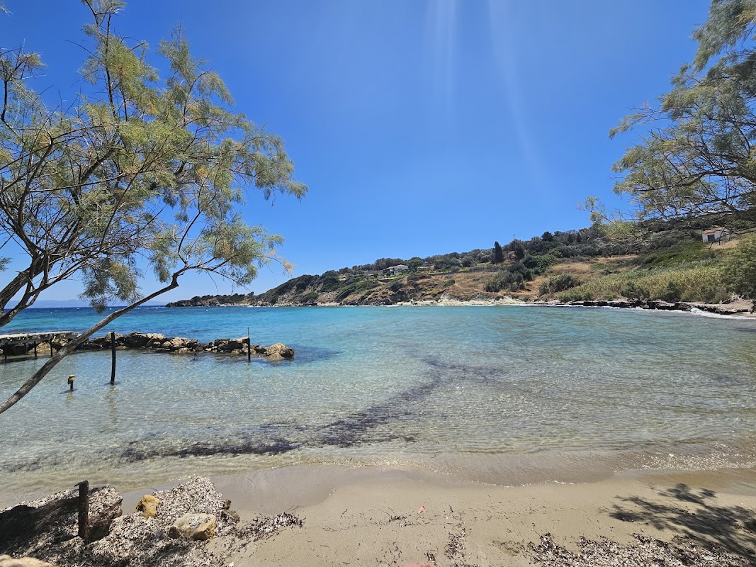 Paralia Vigla