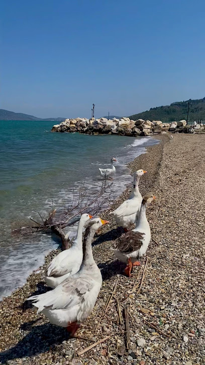 Pigadakia Beach