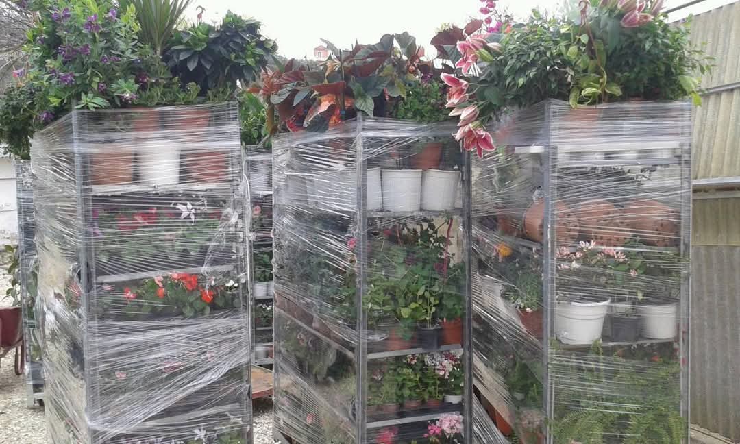 Φυτώριο Ανθόραμα Αλανέλλης Αθανάσιος