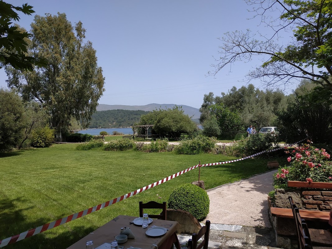 Avlonas Garden