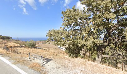Bench with a View