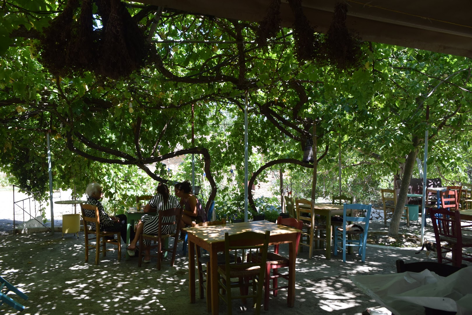 Cafe Milies