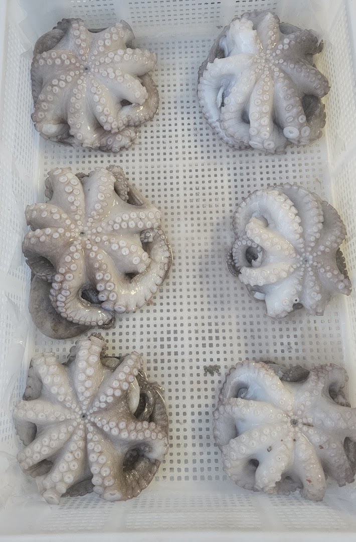 Dives Mare Seafood