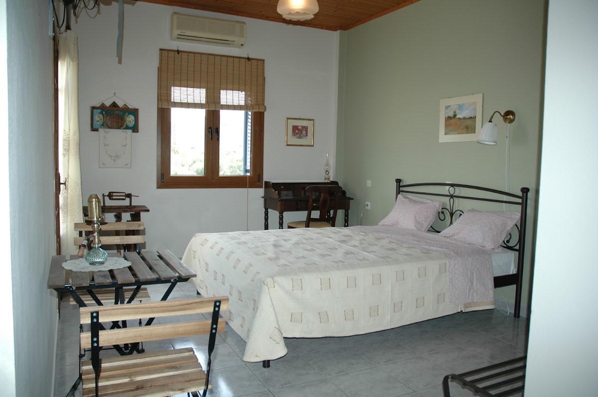 Eleni's Olive Green Studios