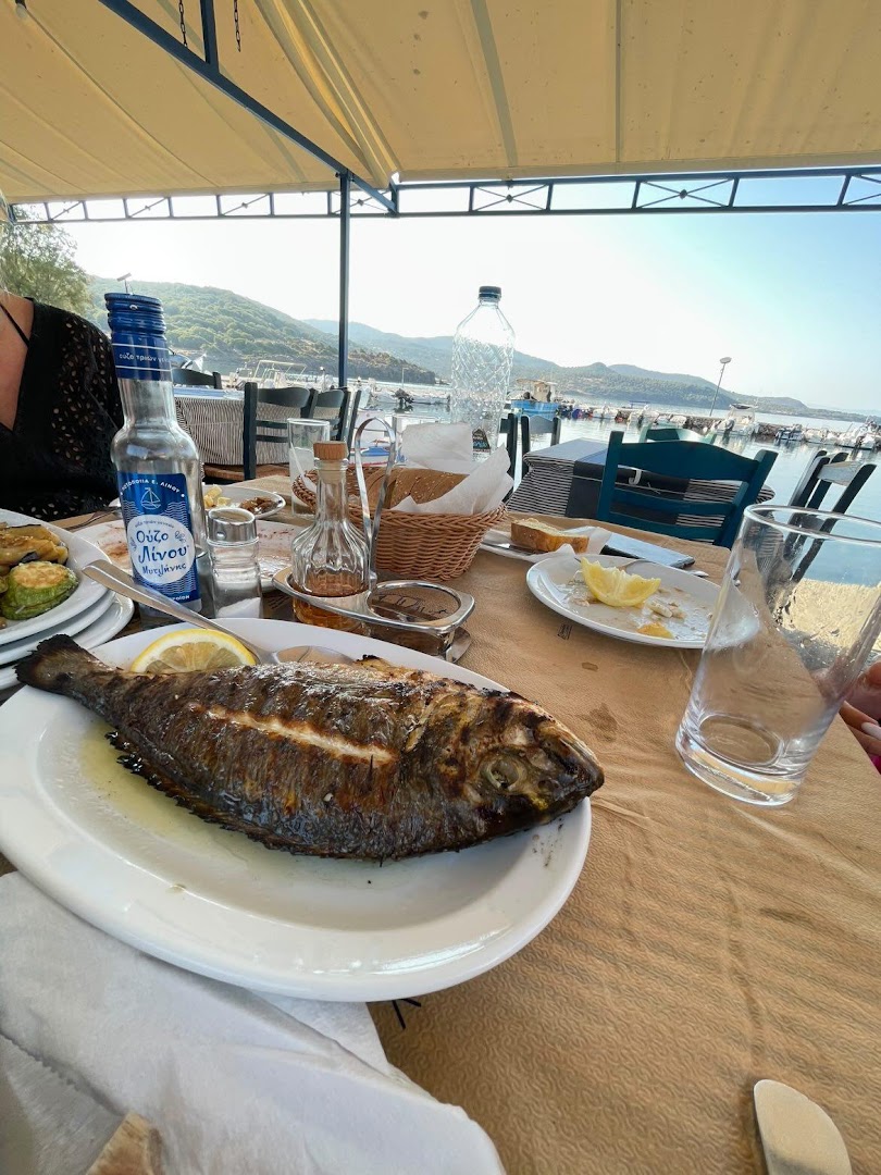 Geni Limani