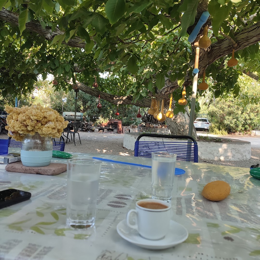 Guesthouse Karidia