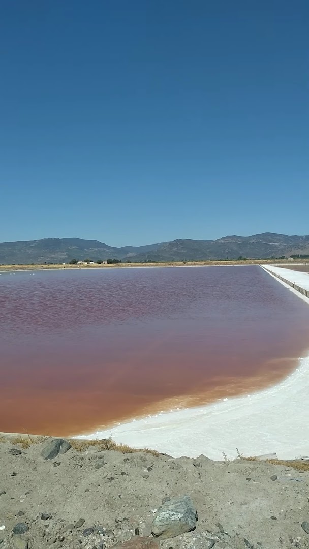 Kalloni Salt Works
