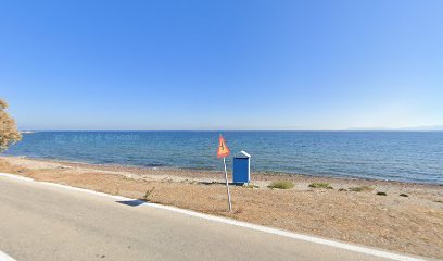 Katia Beach