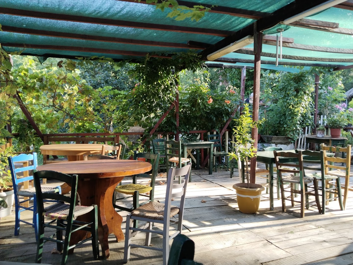 Kira Rinis Café