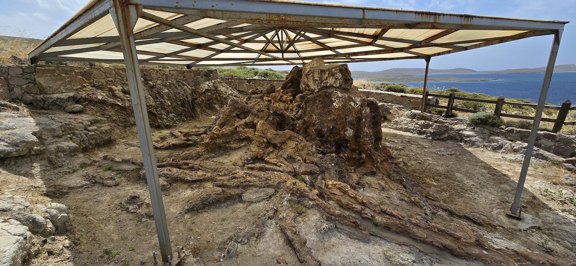 Lesvos Petrified Forest Park