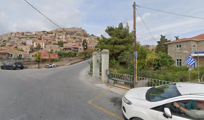 Molivos Taxi Services