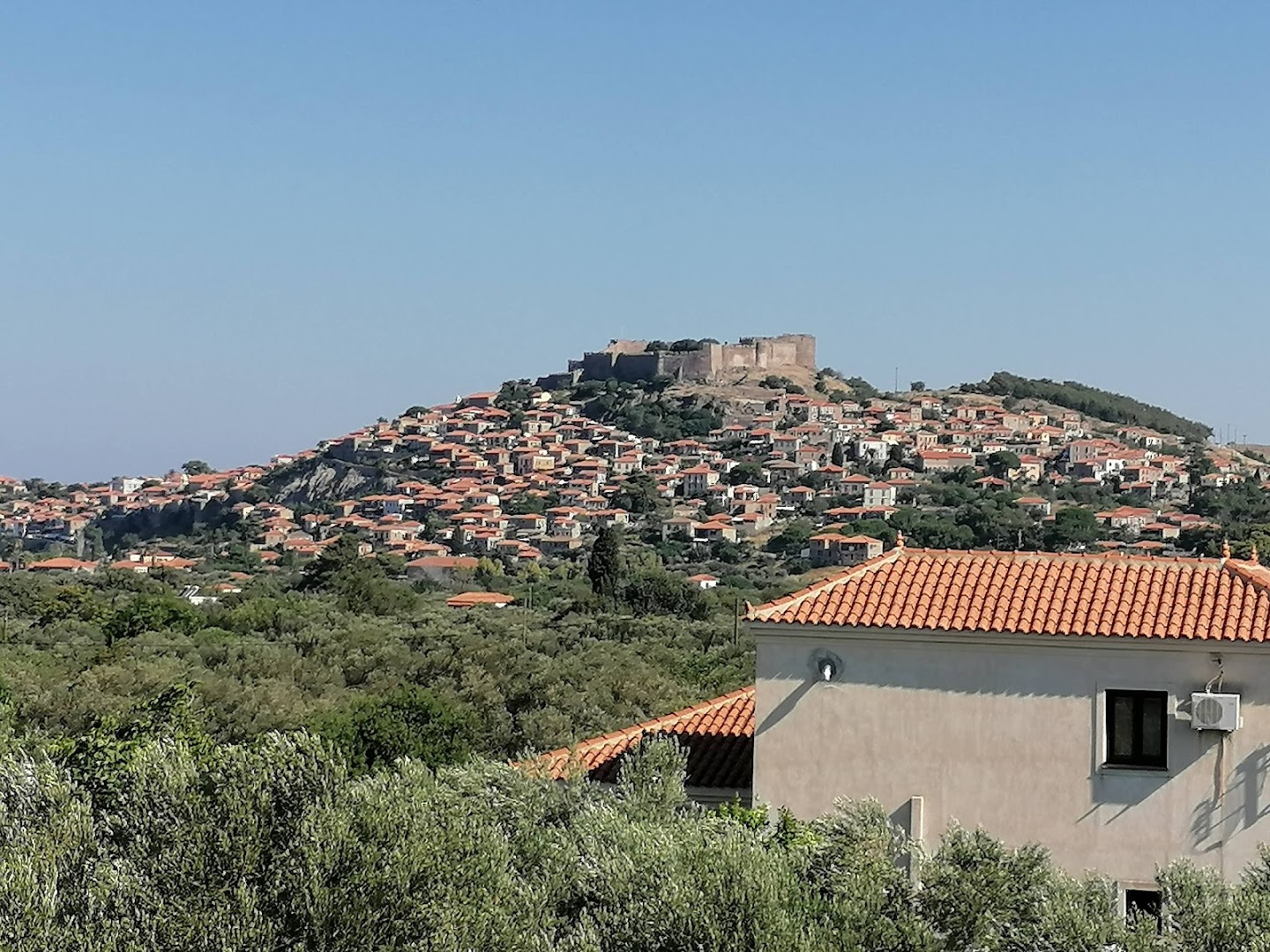 Molivos View Studios
