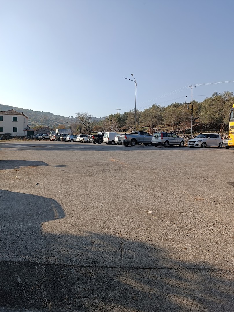 Municipal Parking