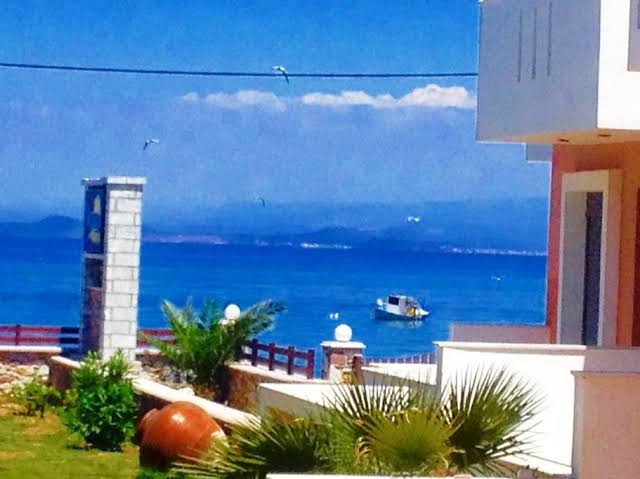 Nitelli's Houses