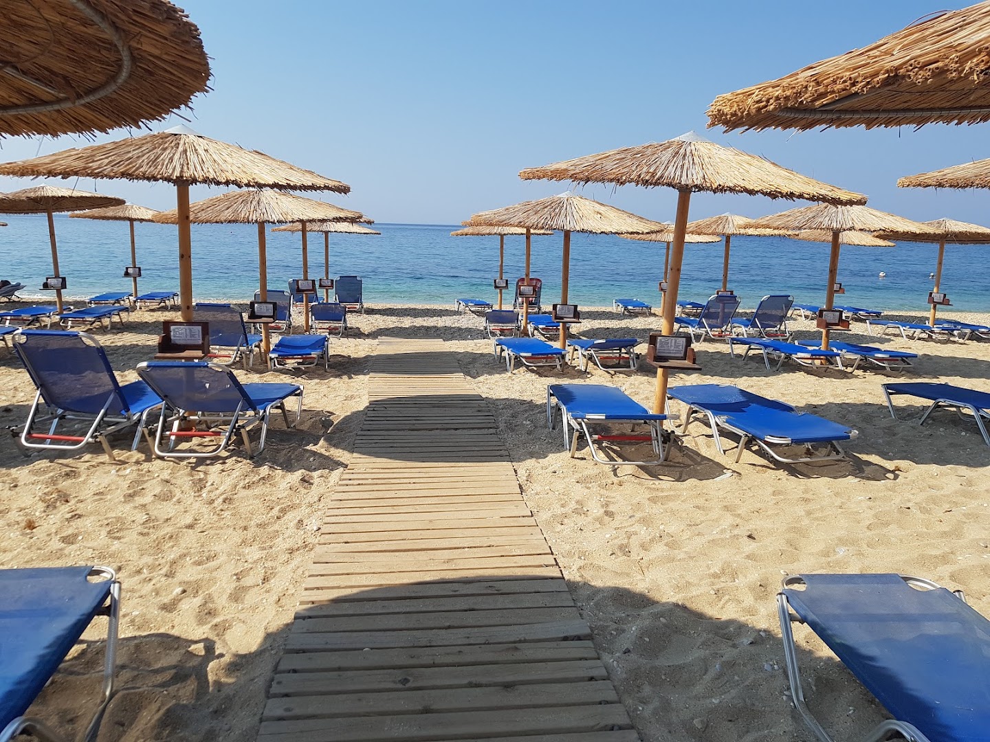 Oasis Beach Bar