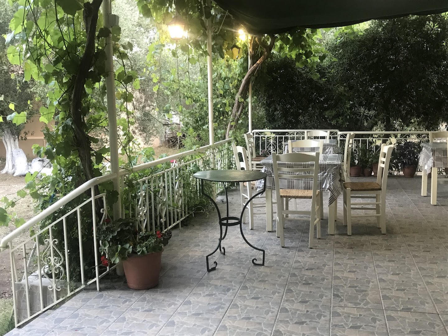 Panai Taverne Andonis