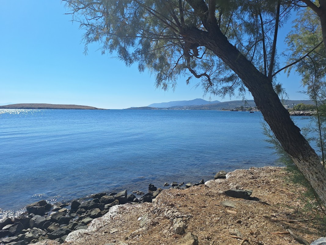 Paralia Pamfila