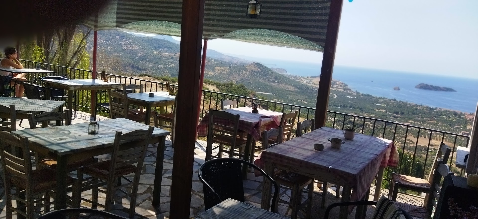 Petri View