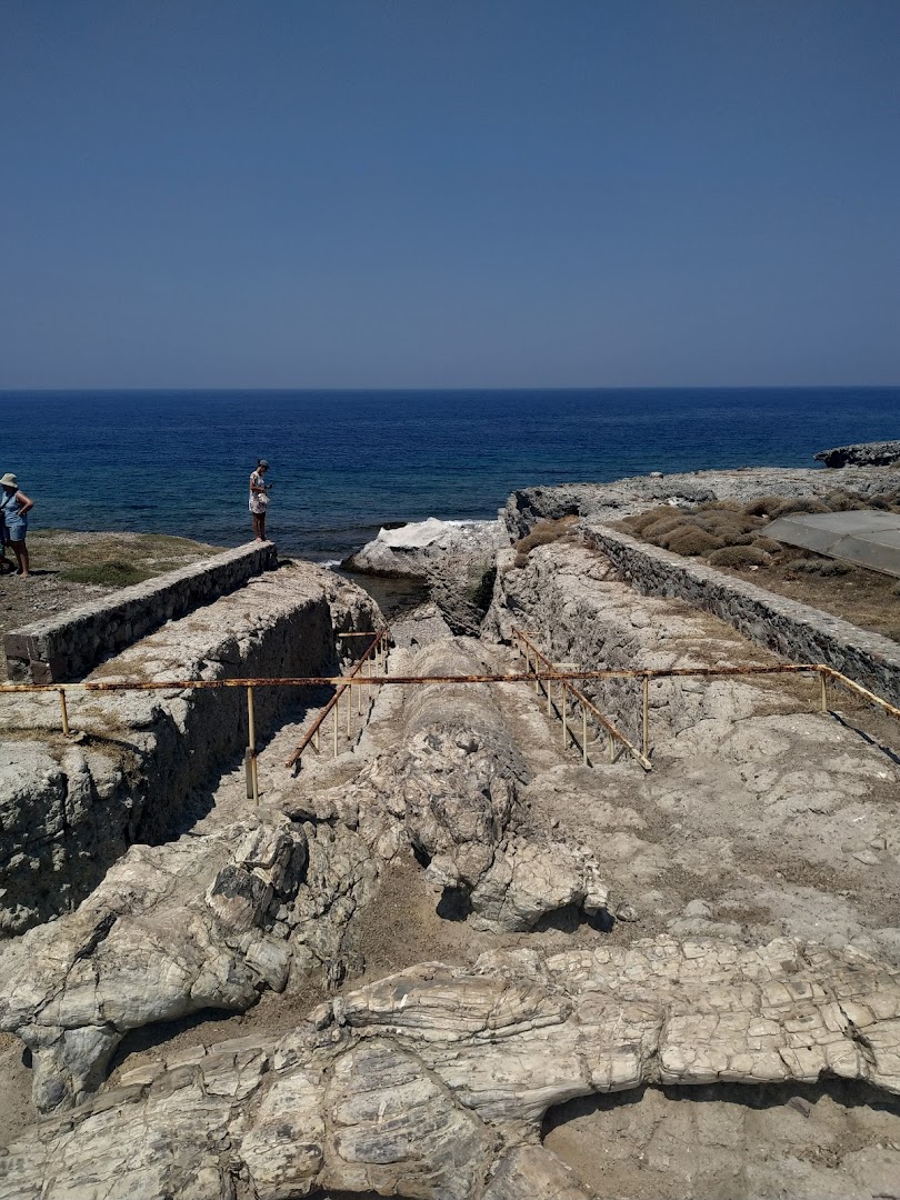 Petrified Forest of Lesvos - Nissiope Park