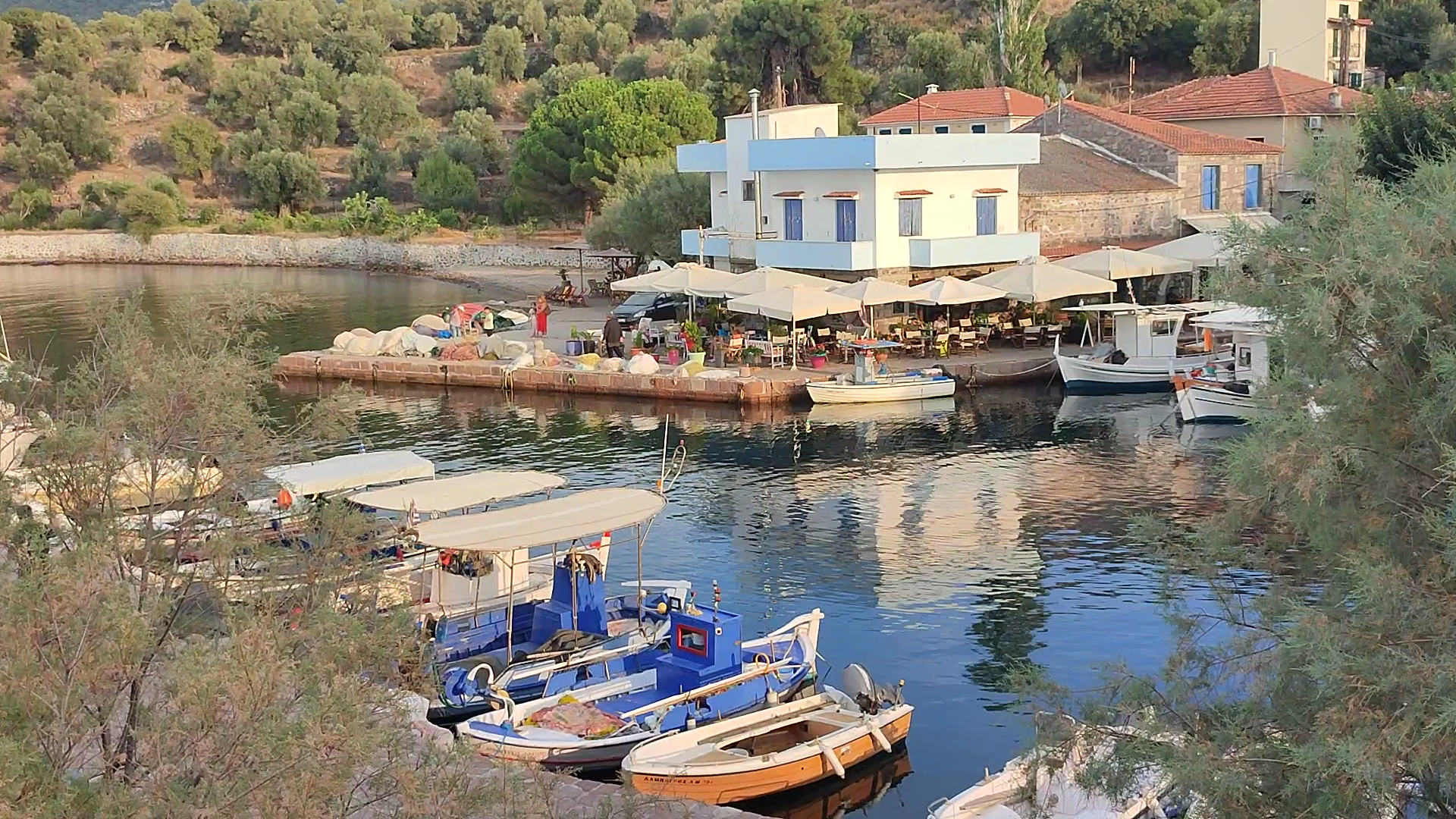 Skala Sykamineas Fishing Harbour