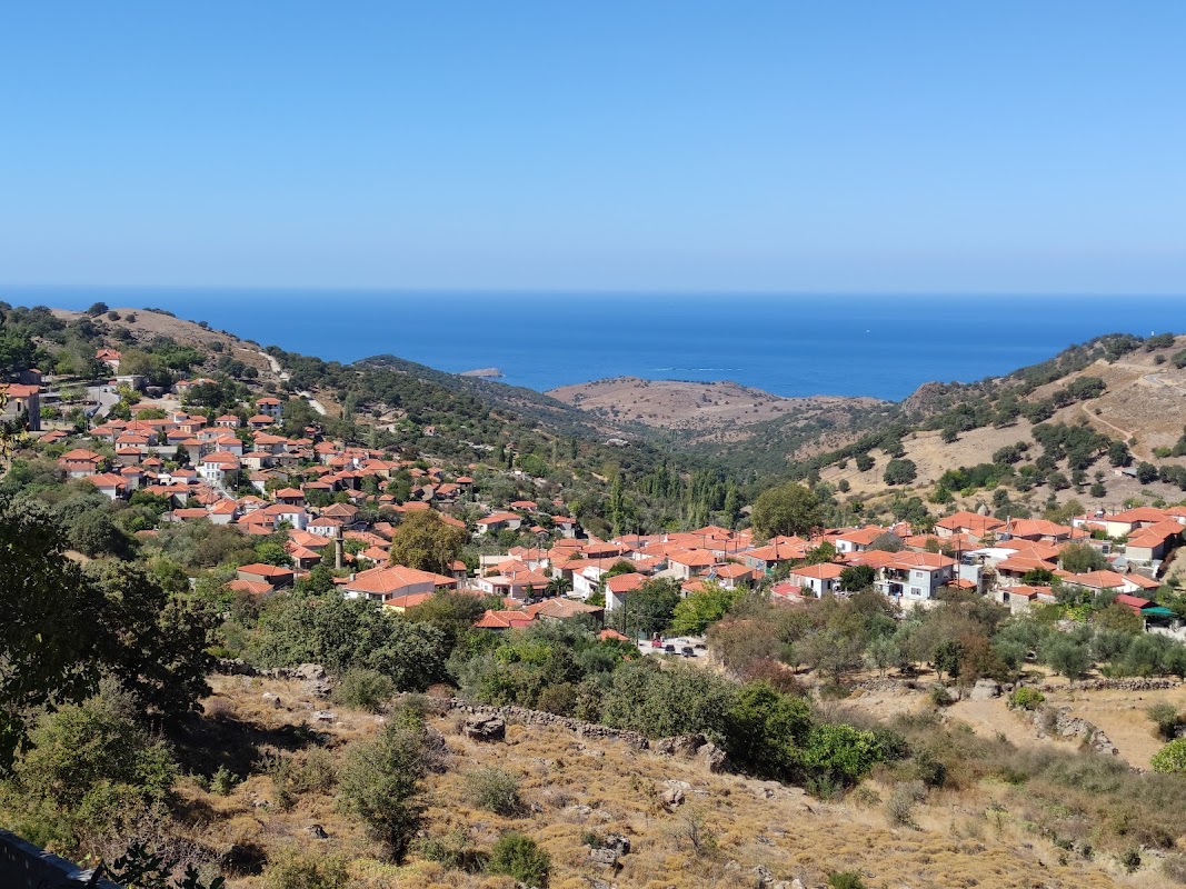 Skalochori Women Agritourism Cooperative